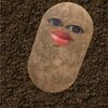 michimo14